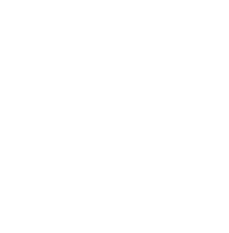 IA LiderX